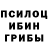 Псилоцибиновые грибы ЛСД Stijn Vroman