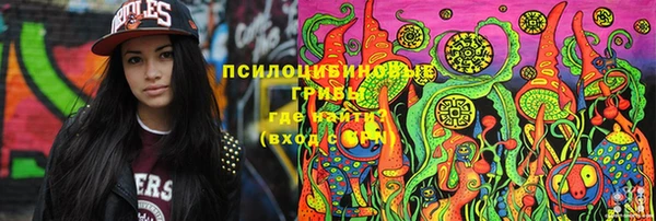 дмт Арсеньев