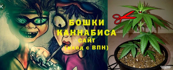 дмт Арсеньев
