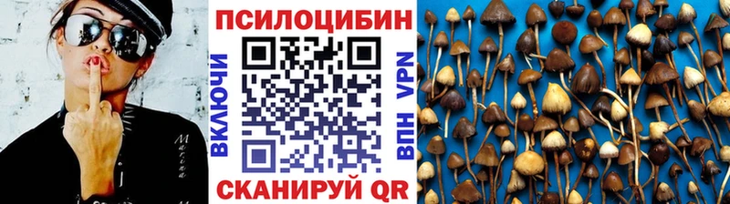Псилоцибиновые грибы мицелий  Купить  Зея 